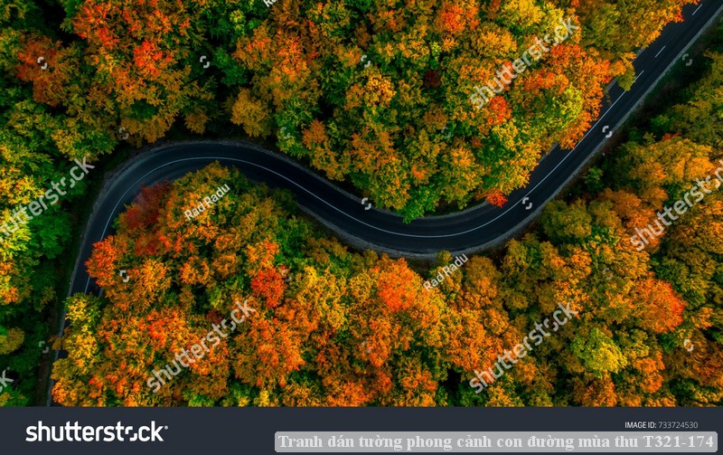 Tranh dán tường phong cảnh con đường mùa thu T321-174